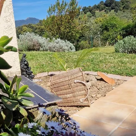 Bed & Breakfast Mare E Monti Chez Thomas Et Magali Vico