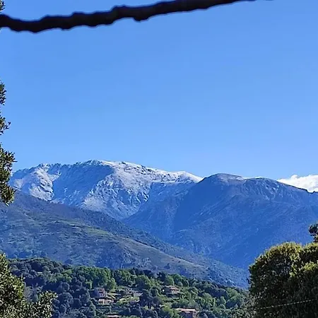 Bed & Breakfast Mare E Monti Chez Thomas Et Magali Vico