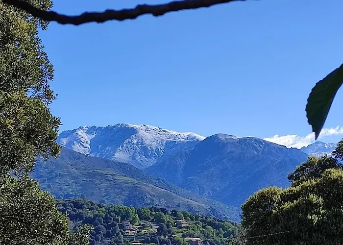 Bed & Breakfast Mare E Monti Chez Thomas Et Magali Vico